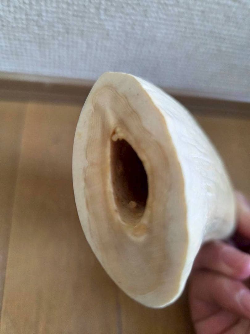 玉峰　クジラの歯工芸品