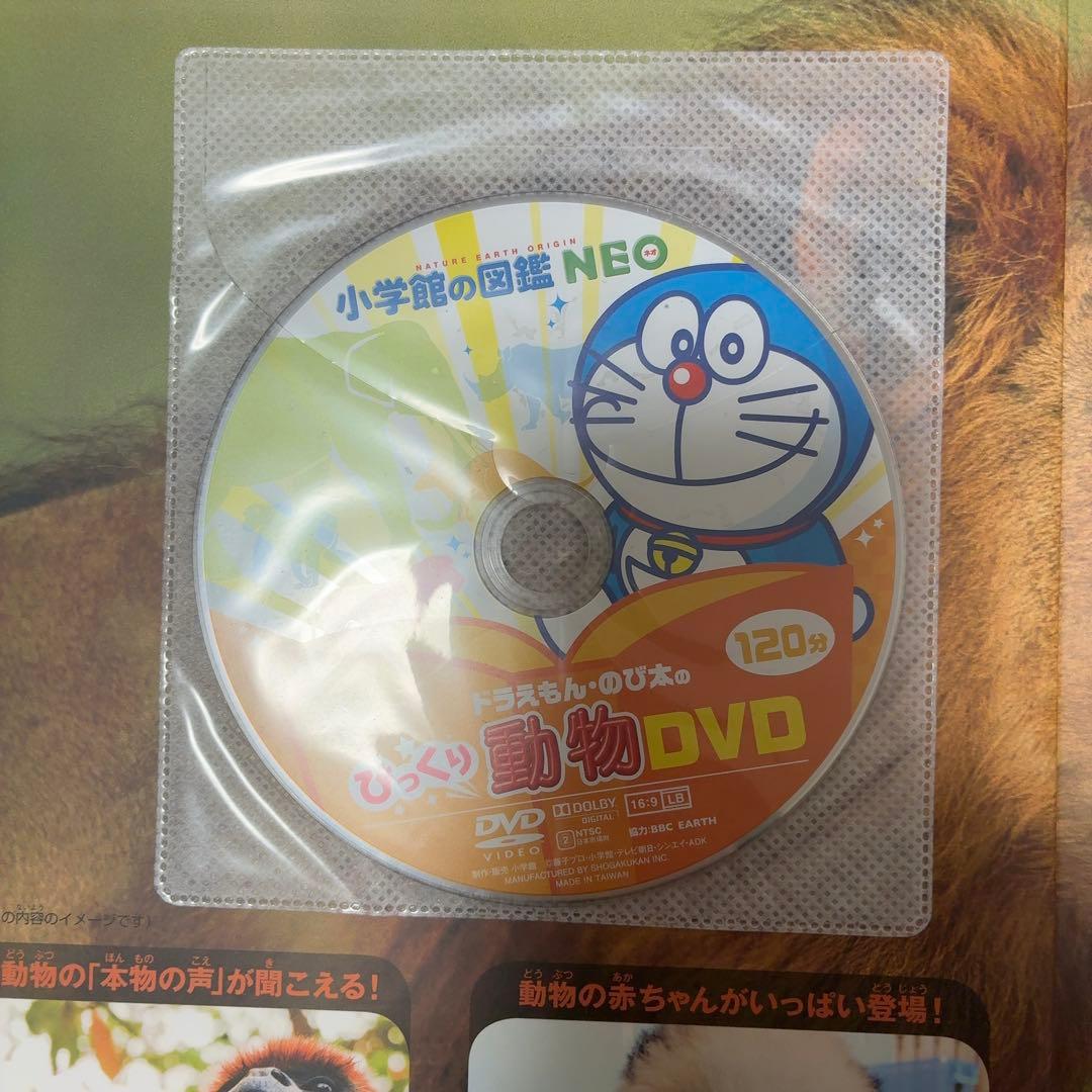 小学館の図鑑neo 11冊セット DVD付き