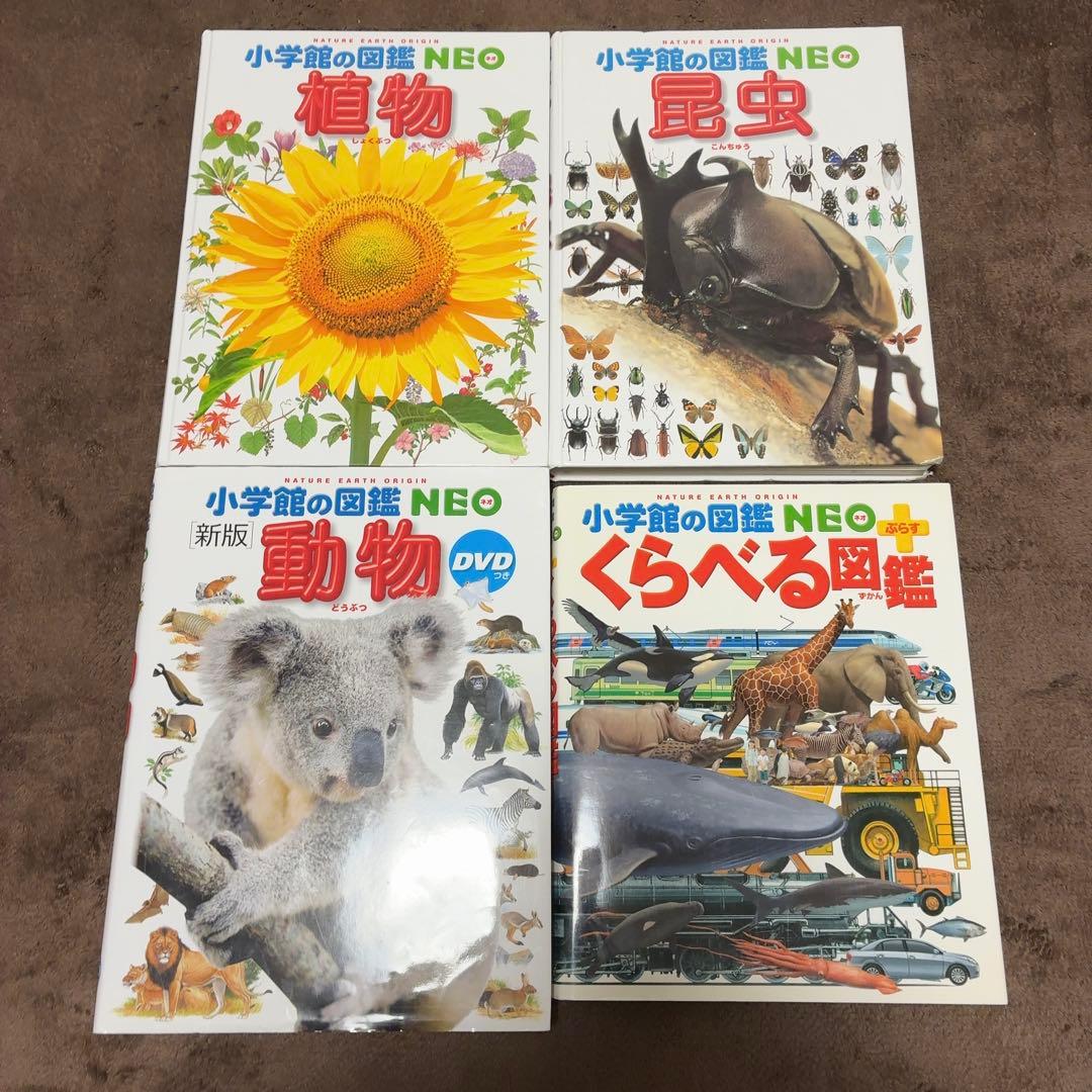 小学館の図鑑neo 11冊セット DVD付き