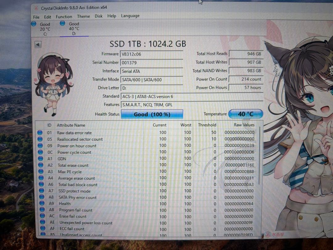 【ジャンク品】1TB SSD（動作未確認・速度低下の可能性あり）