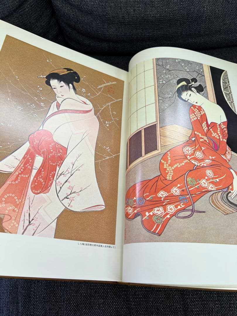 1979年初版】岩田専太郎 さしえ画集 司馬遼太郎 武蔵野次郎 美術本