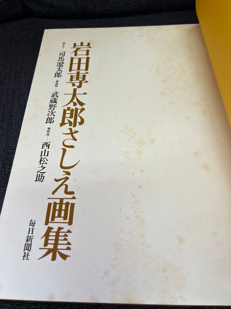 1979年初版】岩田専太郎 さしえ画集 司馬遼太郎 武蔵野次郎 美術本