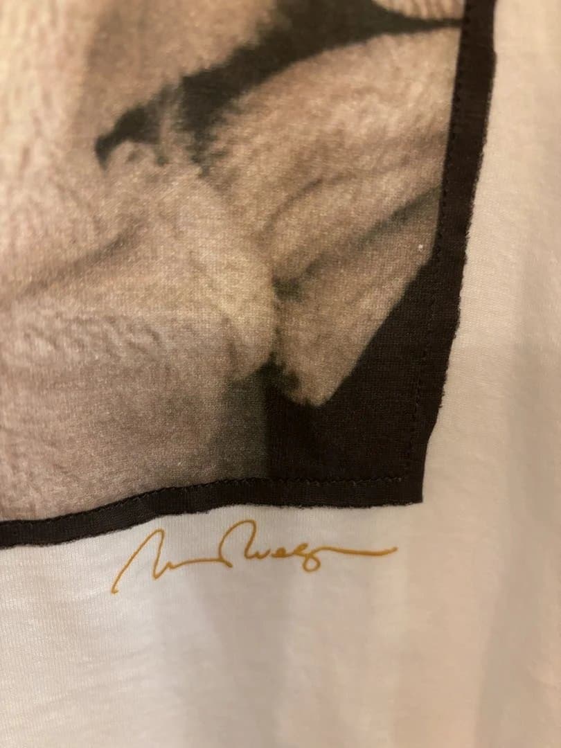MaxMara 半袖Tシャツ