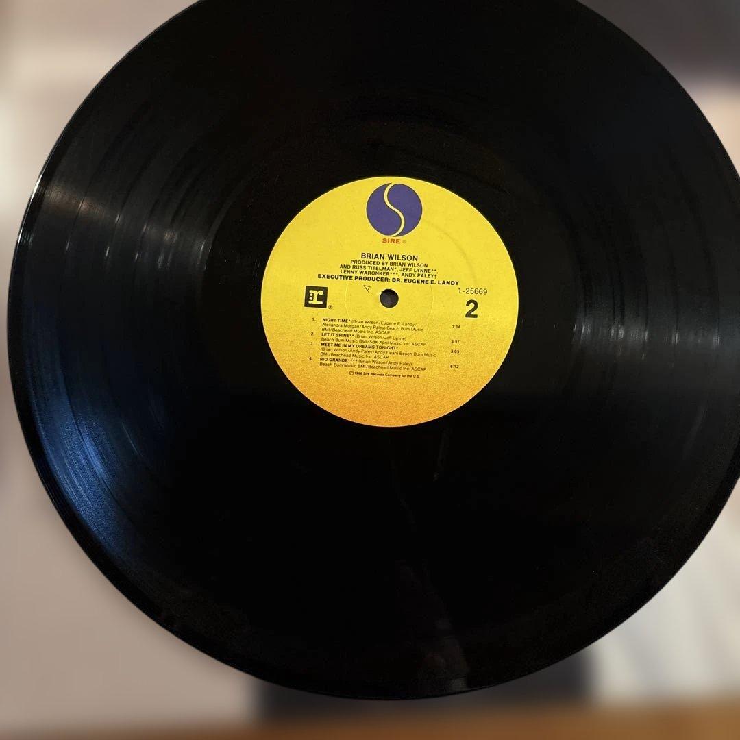Brian Wilson アナログレコード 12インチ