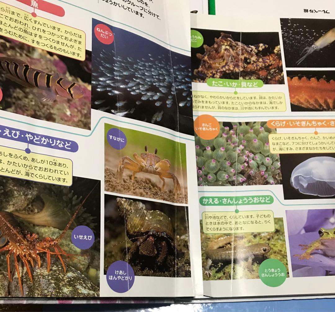 図鑑いろいろ17冊　　まとめ売り
