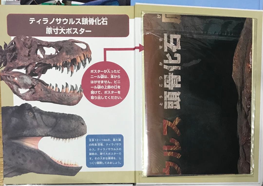 図鑑いろいろ17冊　　まとめ売り