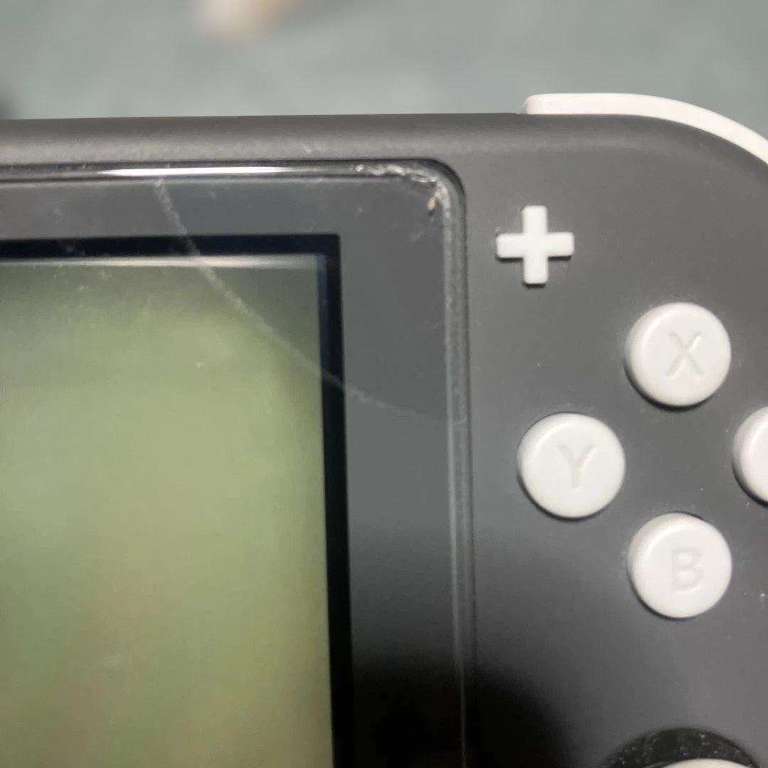 Nintendo Switch Lite グレー 本体 充電器　アソビ大全付き