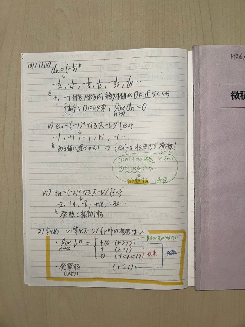 SEG教材　微積分上級演習＋資料集(Rクラス)