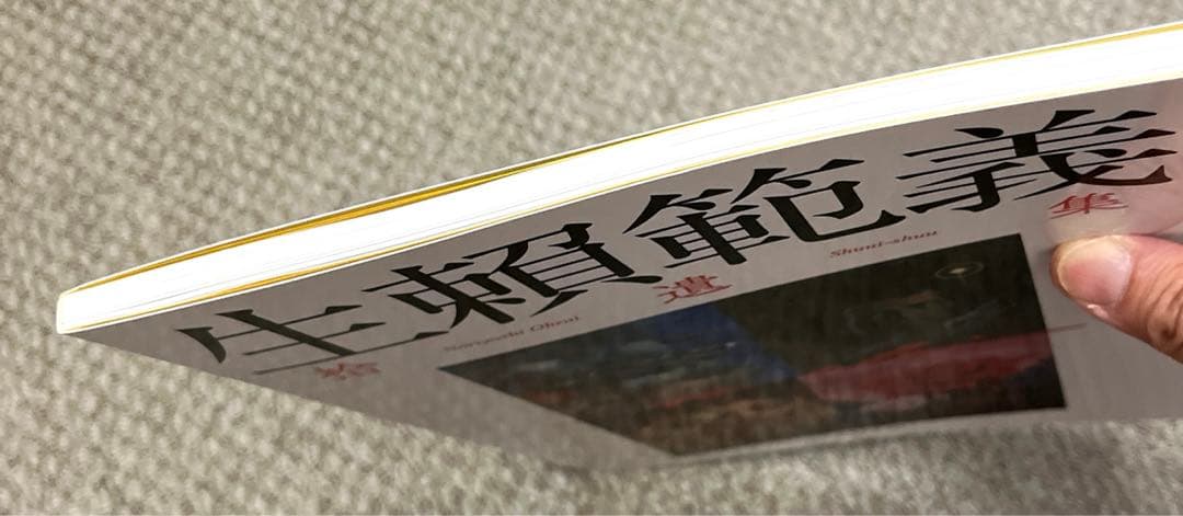 生賴範義拾遺集　宮崎文化本舗　生賴範義著