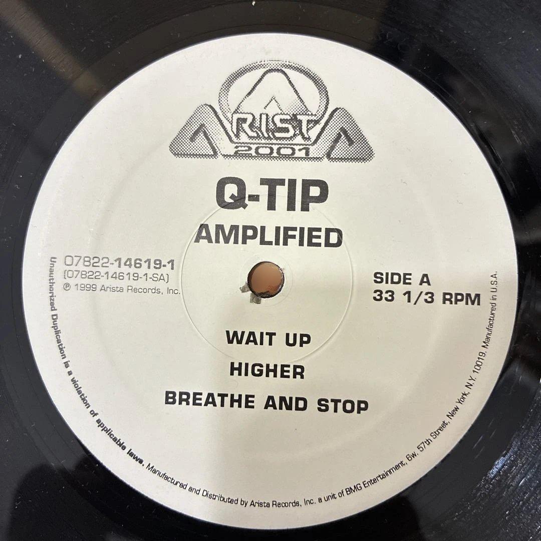 洋楽 Q-Tip Amplified
