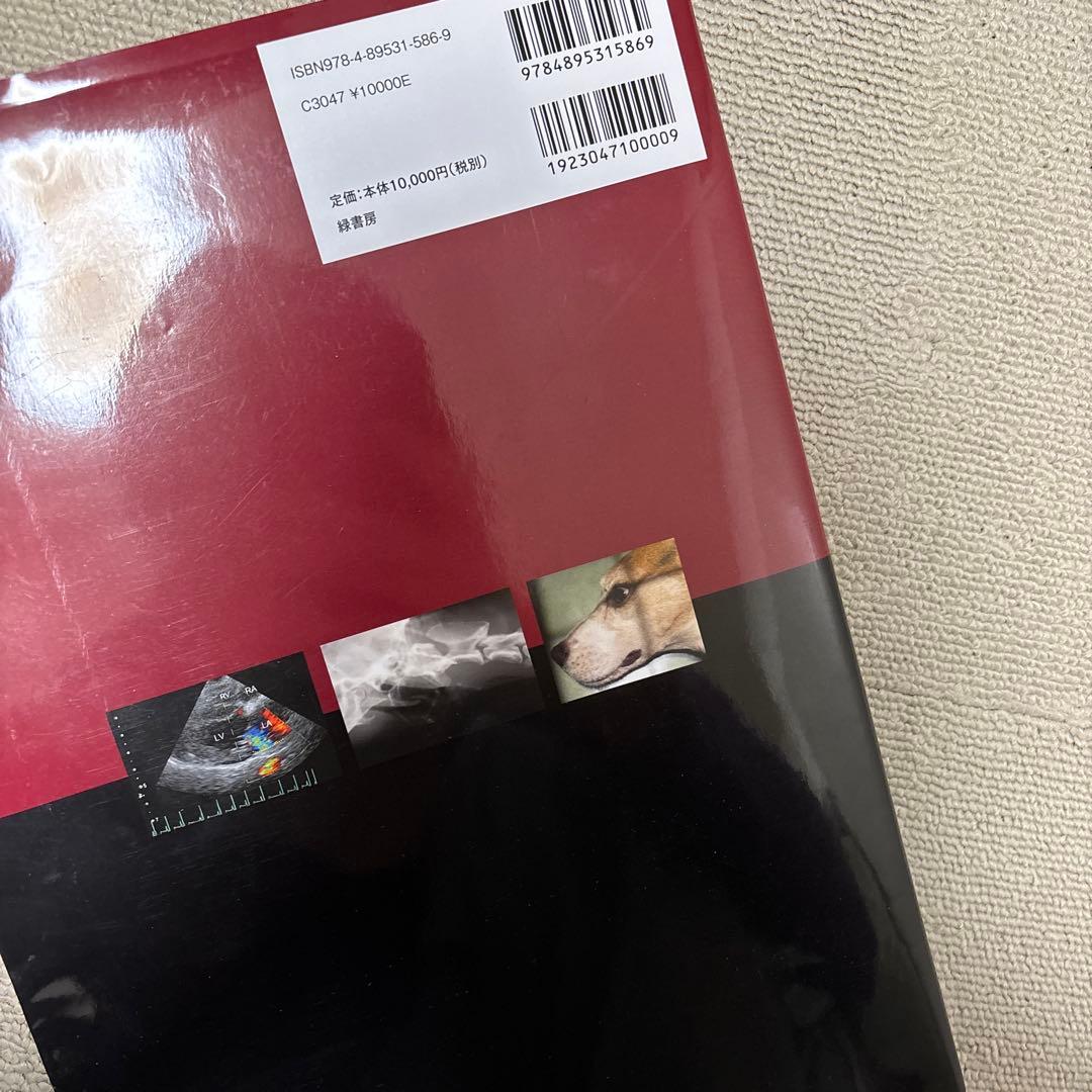 犬と猫のベーシック画像診断学