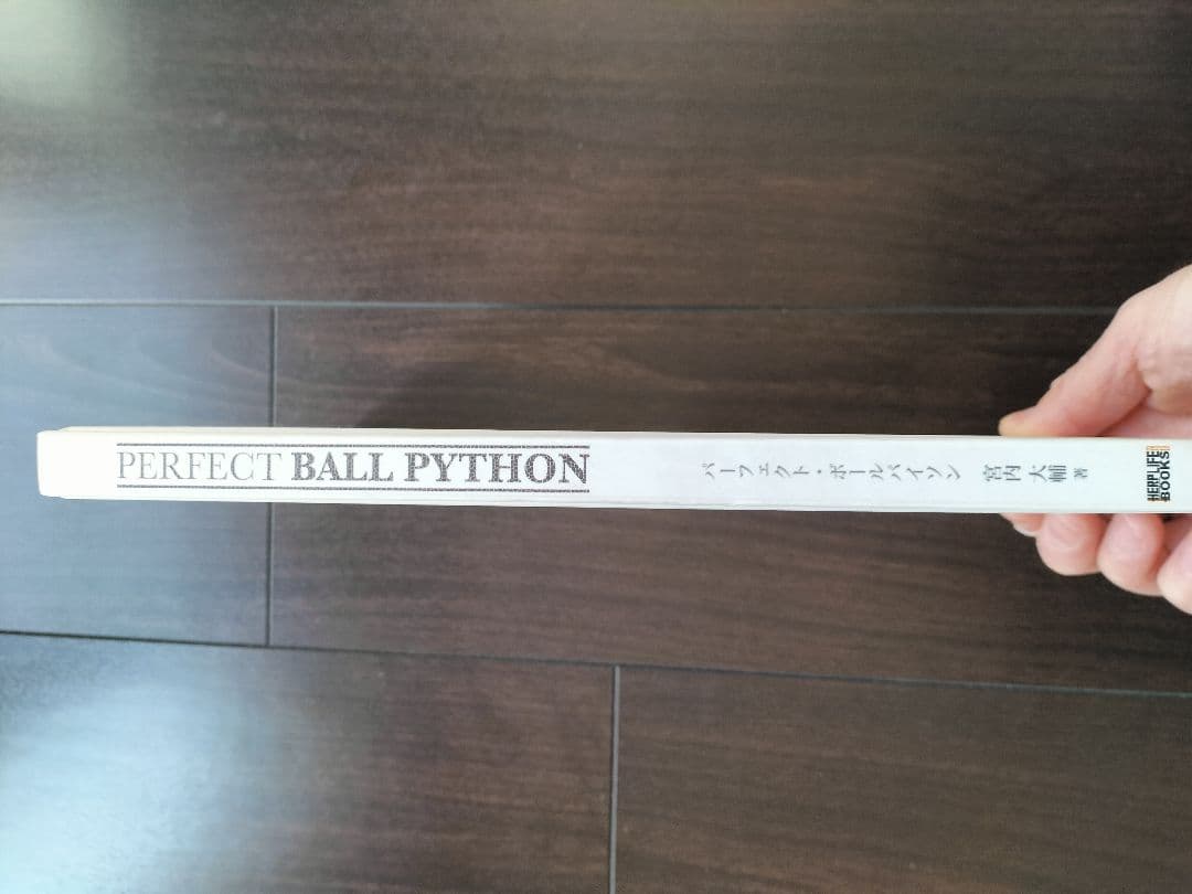 パーフェクトボールパイソンPERFECTBALLPYTHONモルフ飼育繁殖ビバガ