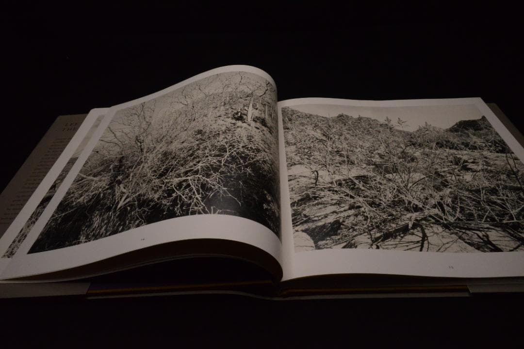 【The Desert Seen】Lee Friedlander　未読、美品