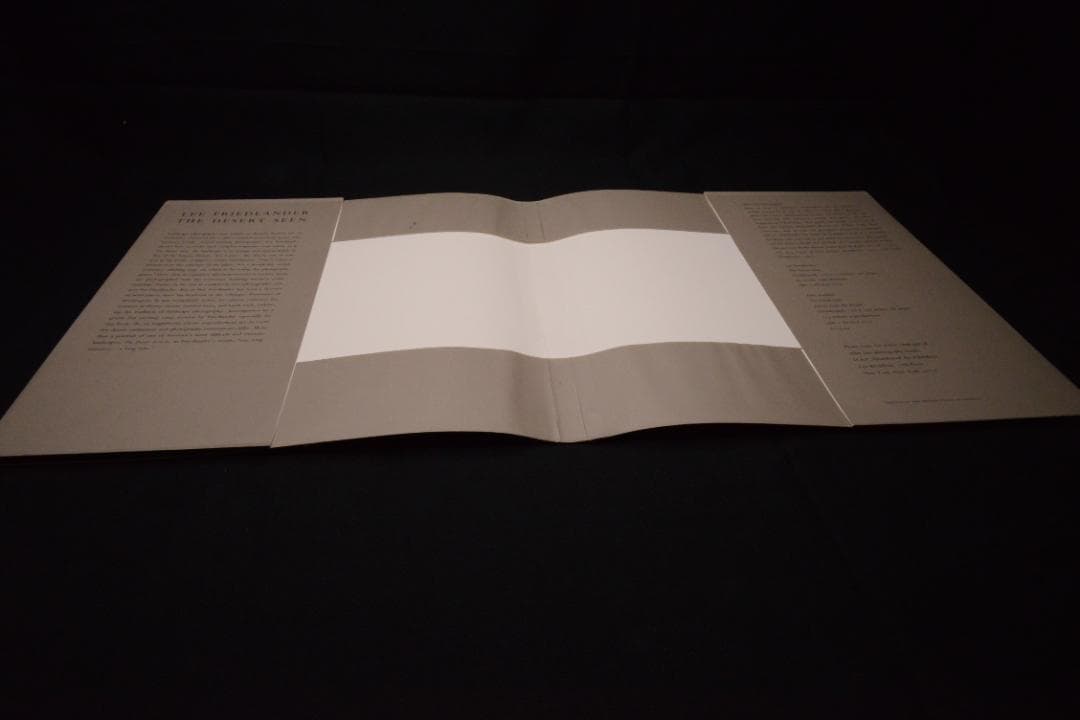 【The Desert Seen】Lee Friedlander　未読、美品