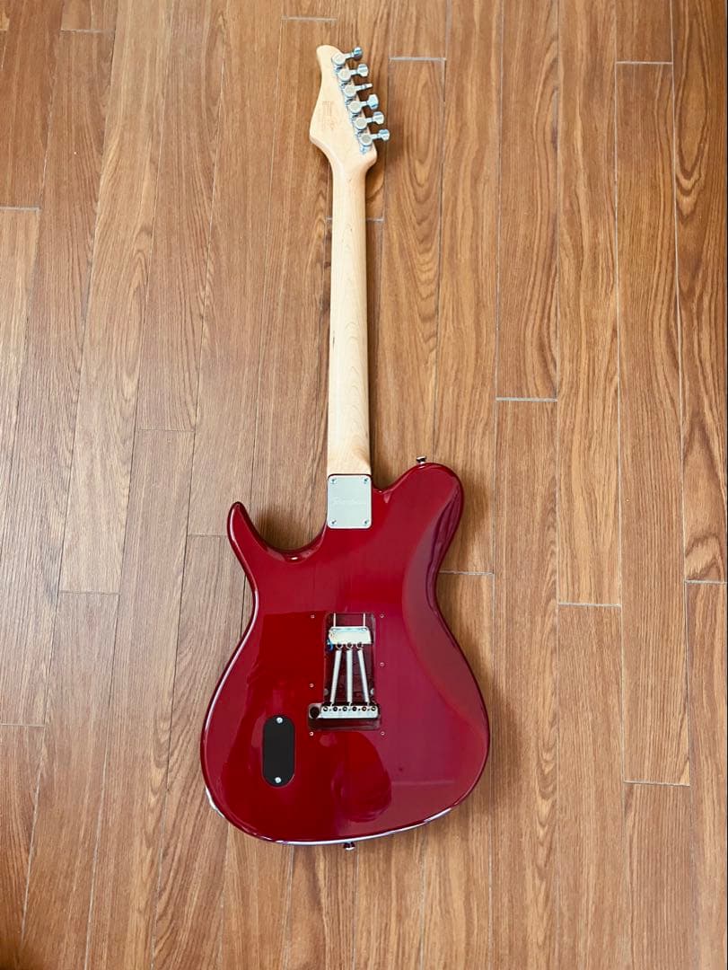 え*に様 Providence eH-202TRSC