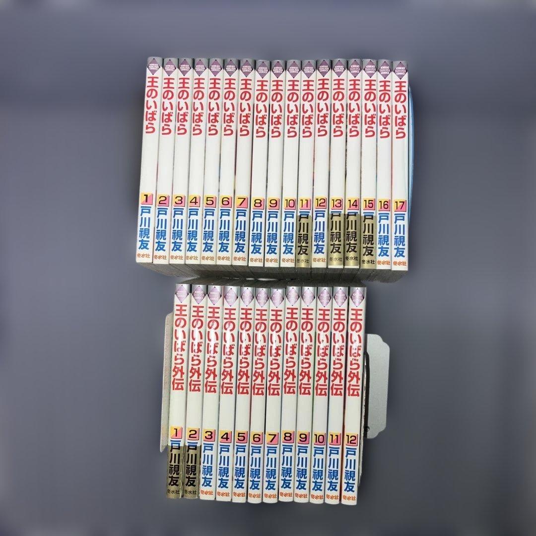 王のいばら 全17巻　　　王のいばら外伝 全12巻　戸川視友【全巻初版発行】