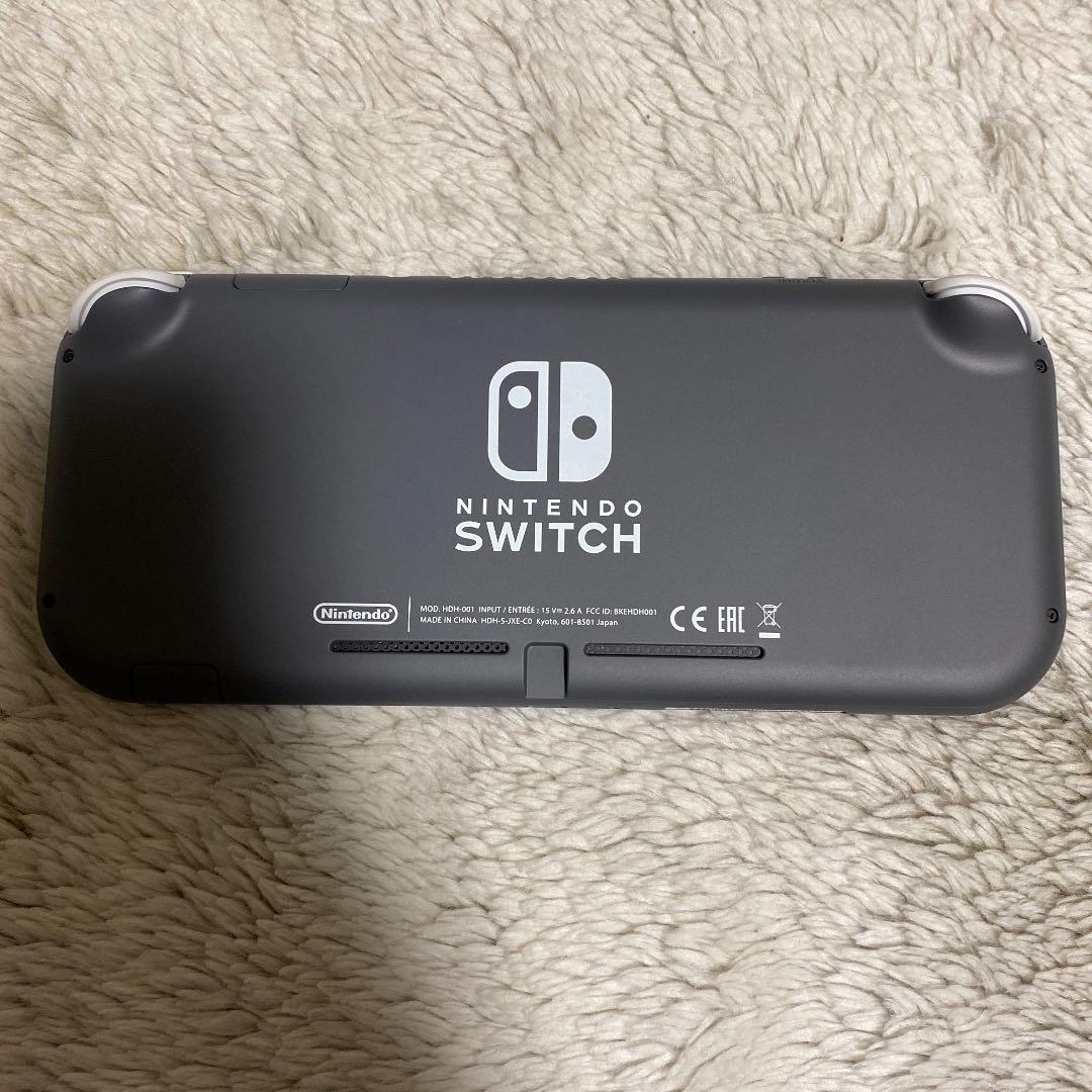 switchライト　専用カバー付