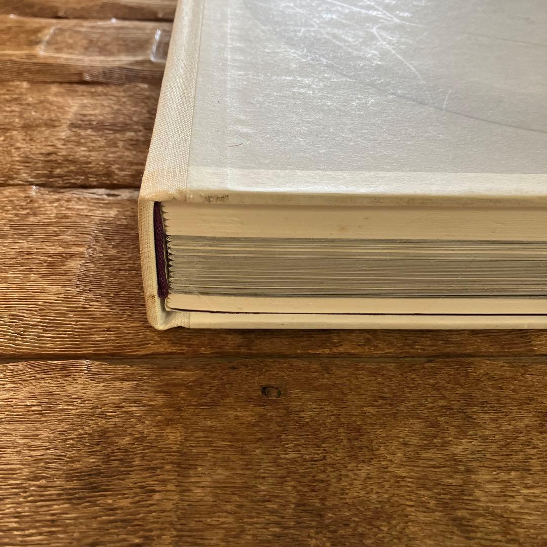 価格変更しました！洋書　アート本　アクセル・ヴェルヴォールト