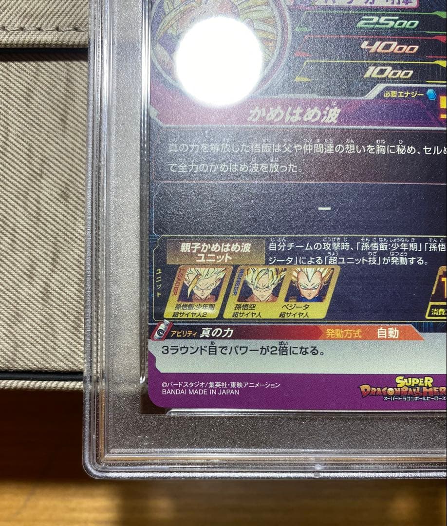 H2-16P psa10 孫悟飯 少年期