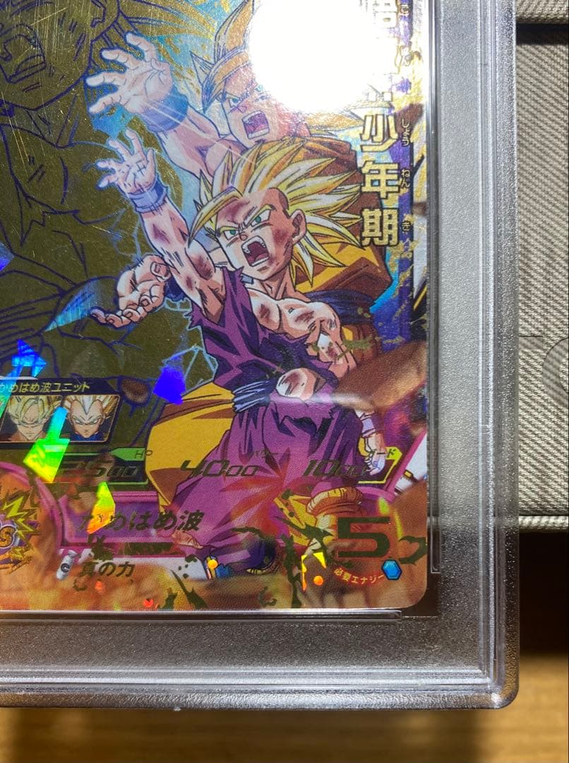 H2-16P psa10 孫悟飯 少年期