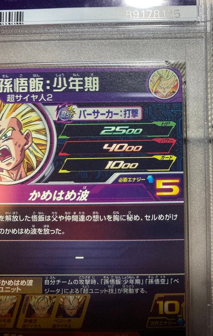 H2-16P psa10 孫悟飯 少年期