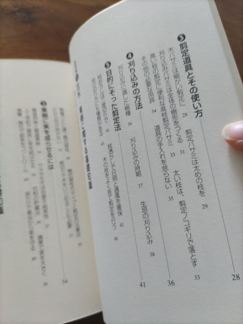 はじめての庭木手入れ・剪定のコツ : 庭づくりのプロに学ぶ