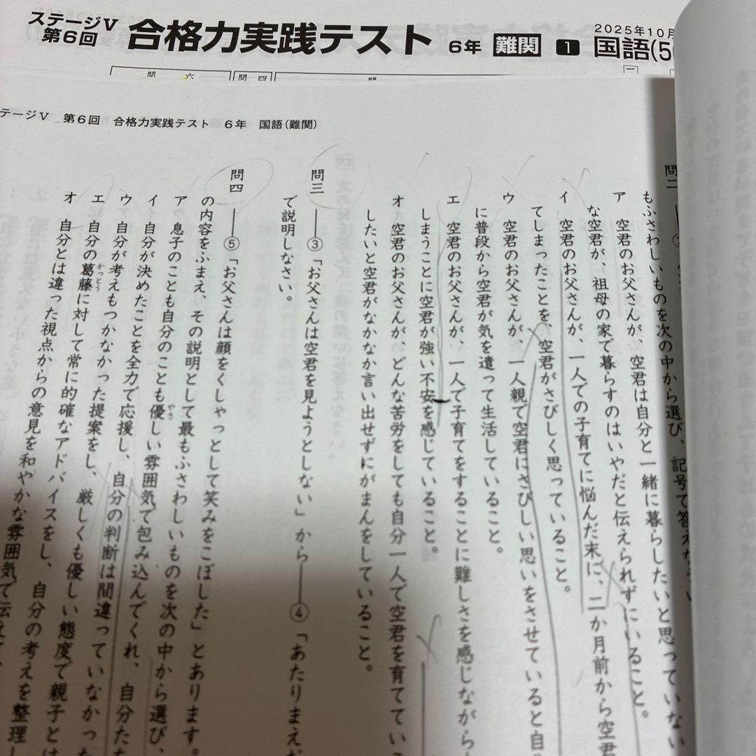 【最新2025年】日能研6年 後期　20回分　公開模試　育成テスト　入試実践模試