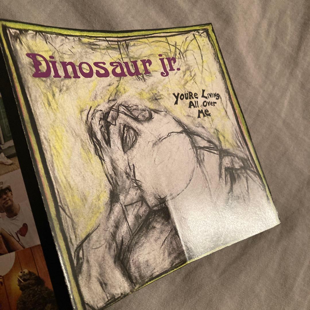 レアDinosaur Jr. You're Living All Over Me