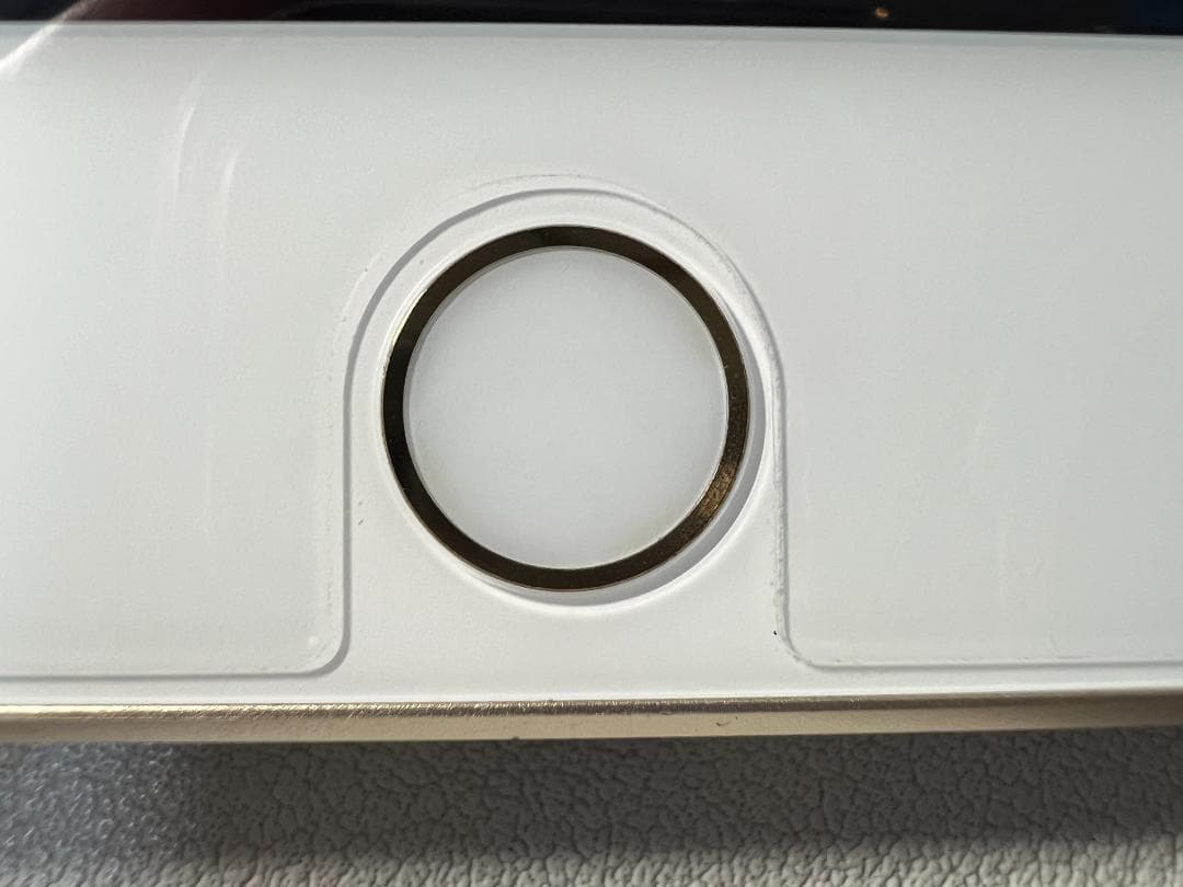Apple iPad mini 4 Wi-Fiモデル 16GB MK9J2J/A