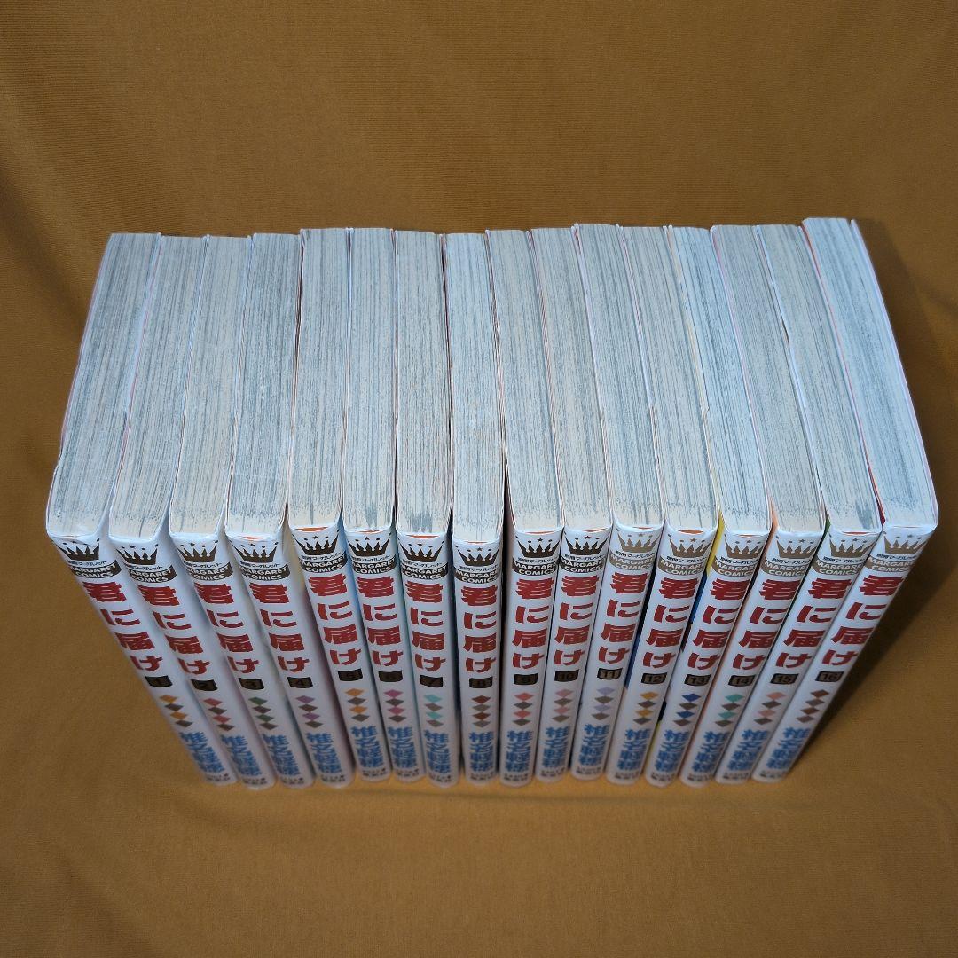 君に届け 1-30巻 全巻セット 運命の人2冊 小説