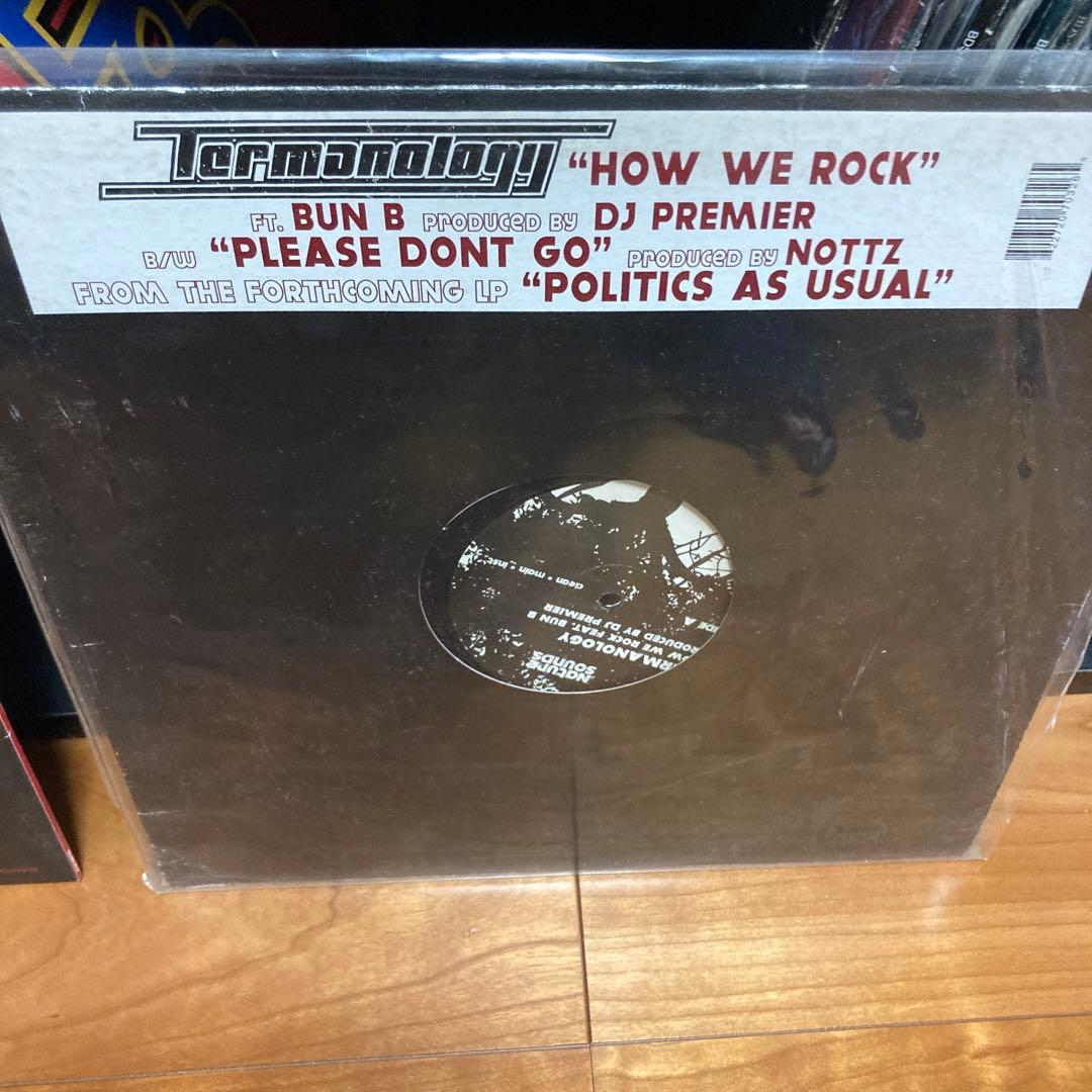 Termanology 12inc 2枚セット