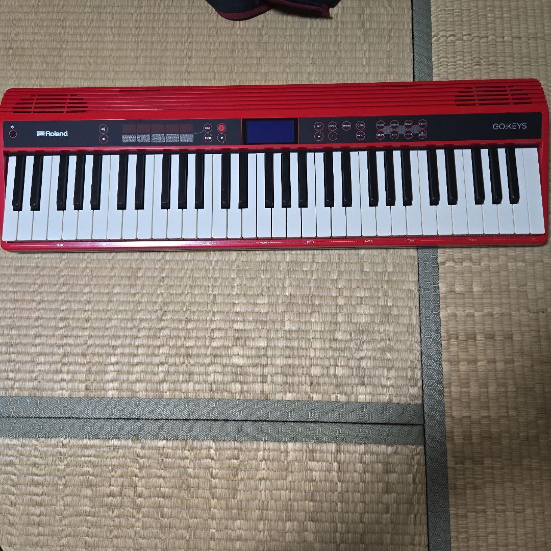 ROLAND GO: KEYS GO-61K +キャリングケース