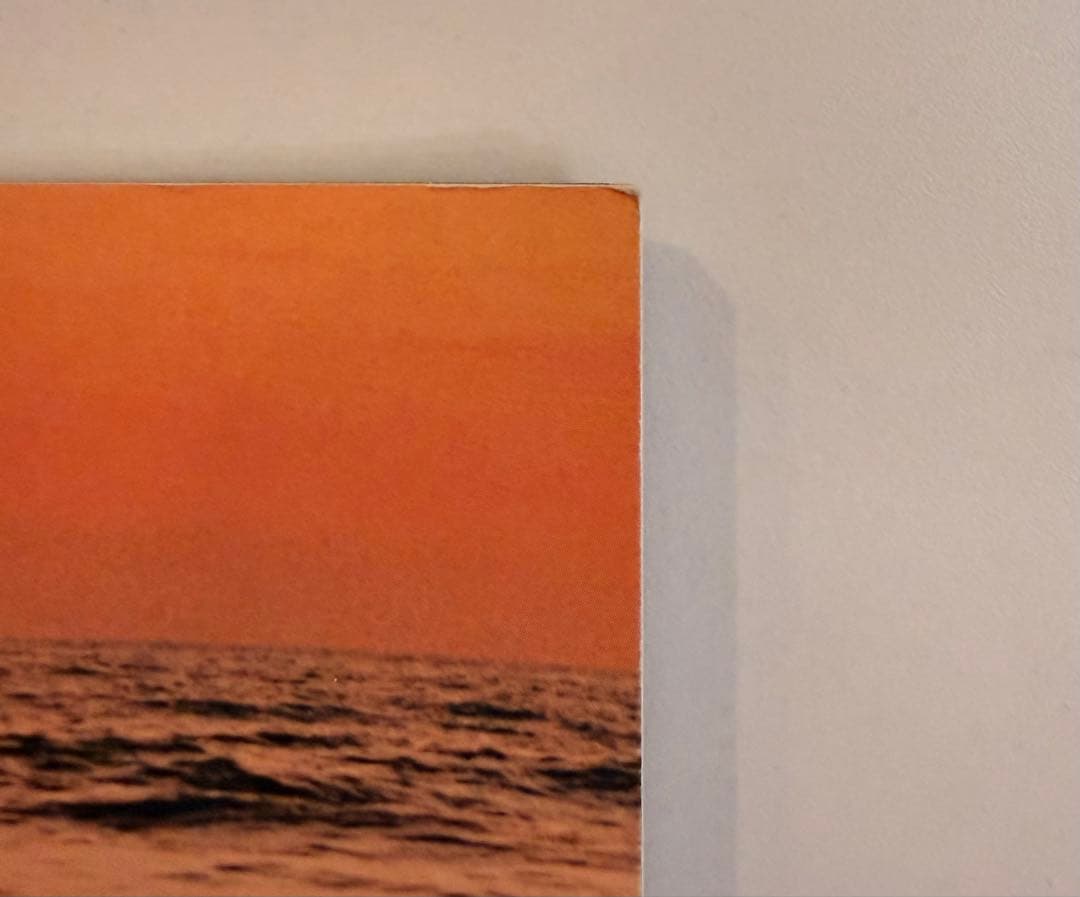 希少 極美品 reach dedicated to nujabes