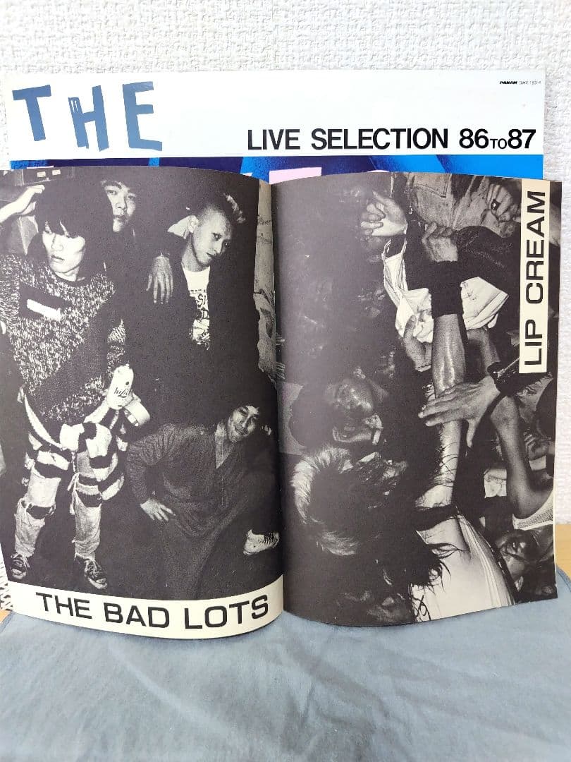 THE INDIES LPレコード2枚組　 見本盤