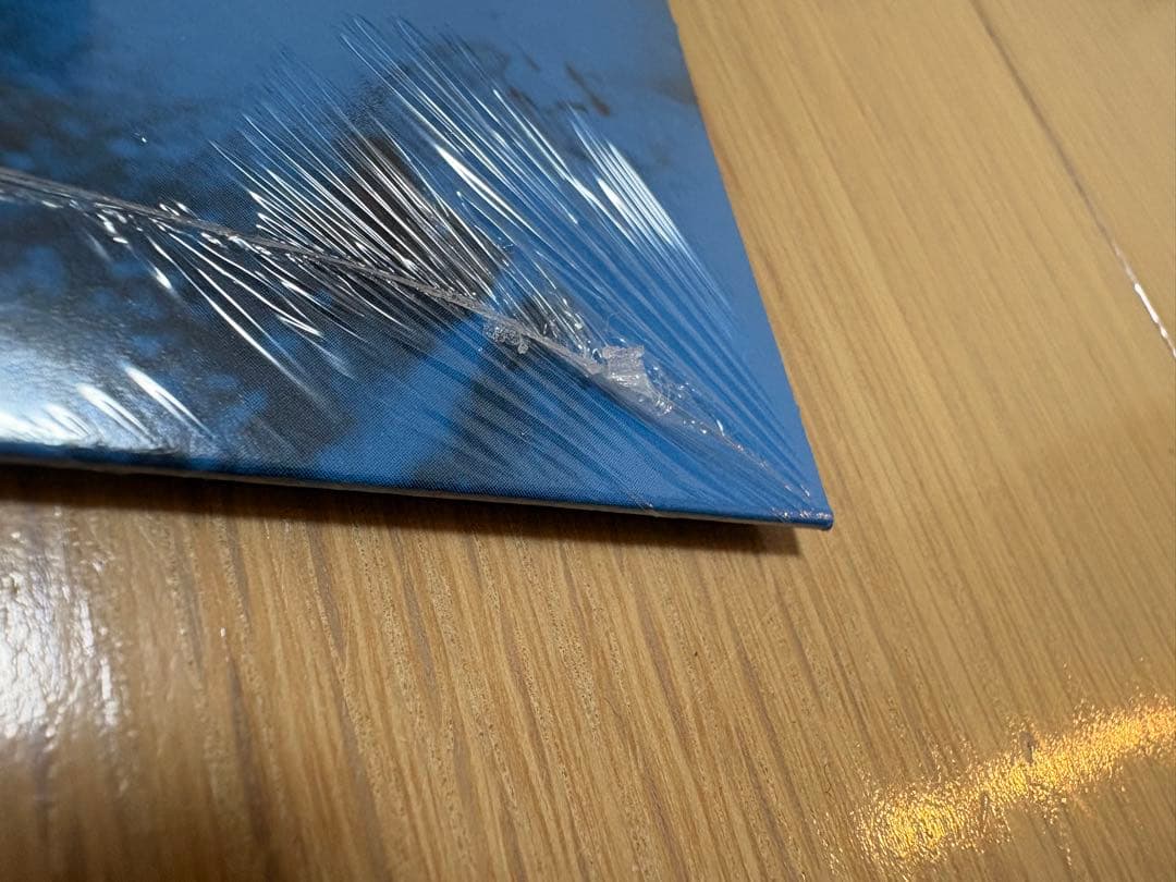 新品未開封 GEESE Live At Third Man Recordレコード
