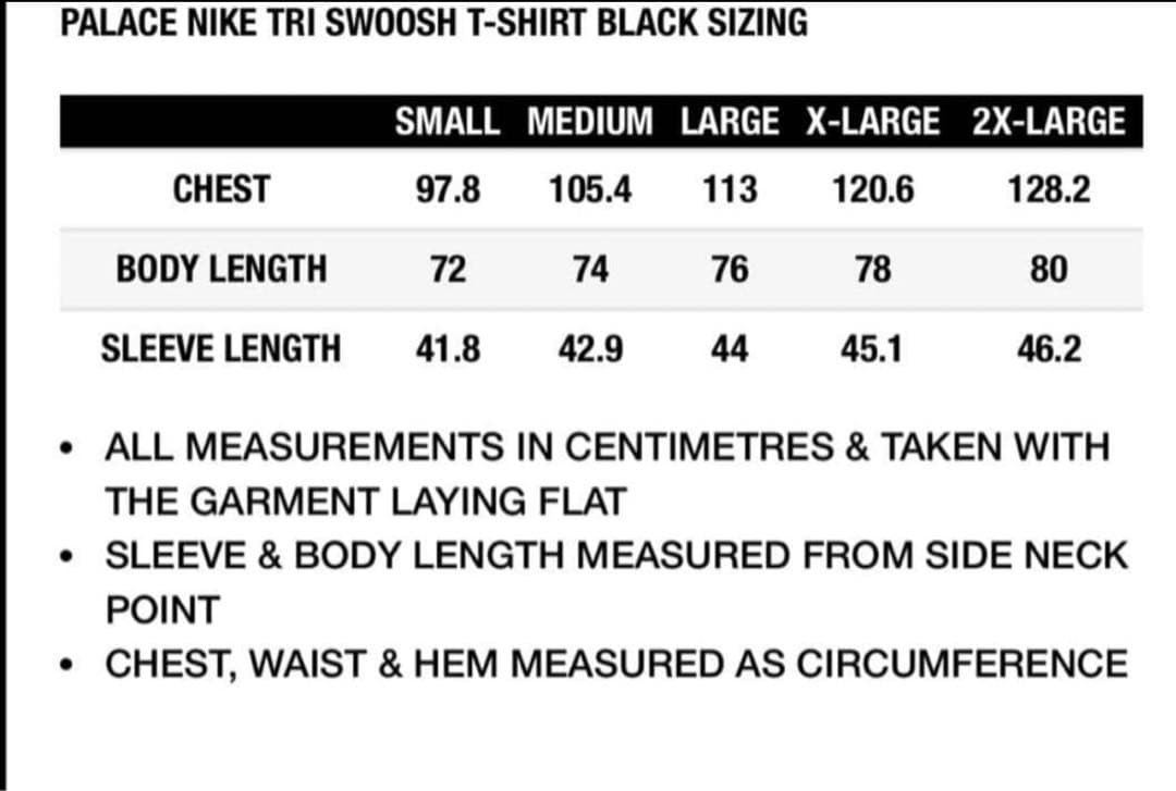 PALACE NIKE TRI SWOOSH T-SHIRT 試着のみ