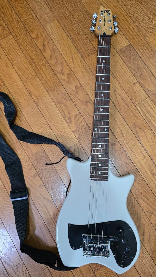 ローランド GTM Guitar Controller エレキギター　 ホワイト