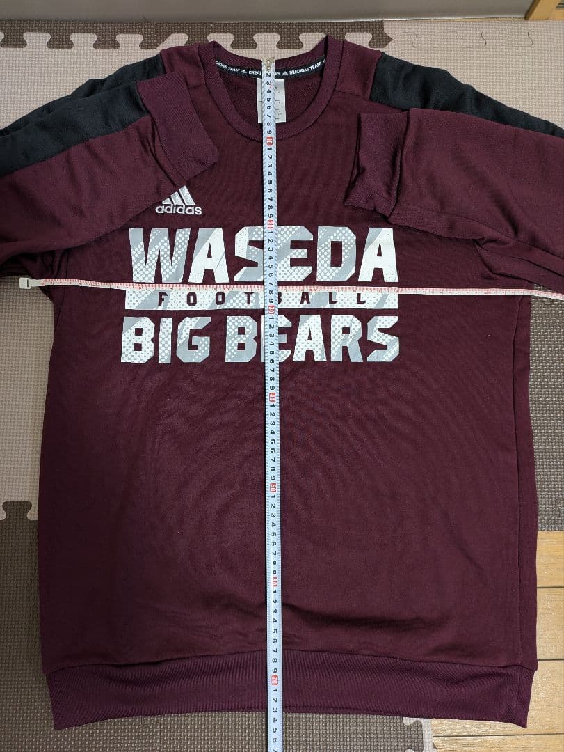 【早稲田大学×adidas】BIG BEARS トレーナー