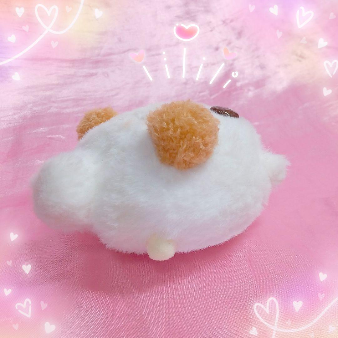 じゅーしーにくまんちゃん ぬいぐるみ