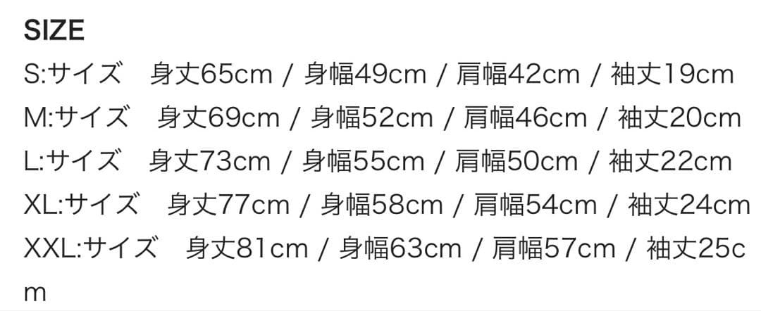 HI-STANDARD ブラック Tシャツ XXL