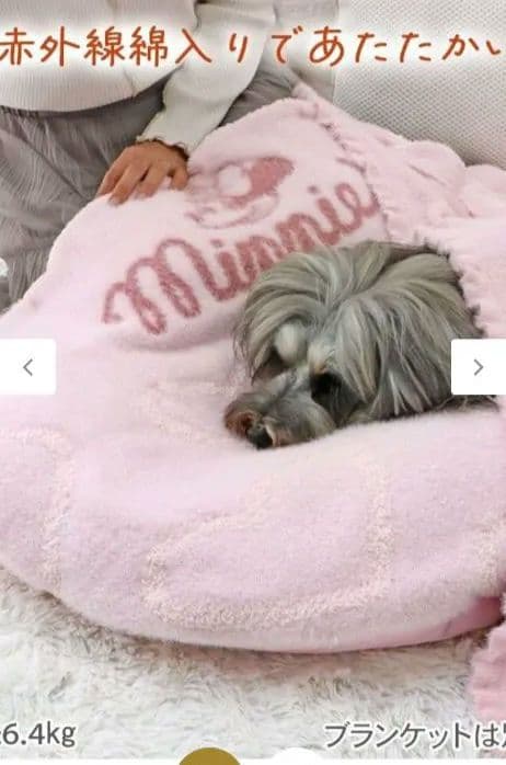 ディズニー ミニーマウス 遠赤外線 一緒にぽかぽかマット 《ハート》 小型犬