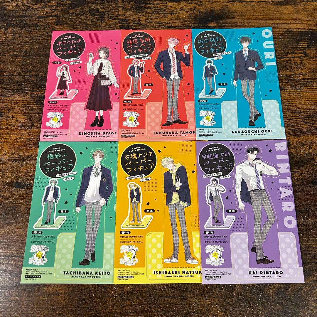【新品・未読】多聞くん今どっち！？ 全巻セット　花とゆめ　白泉社　④