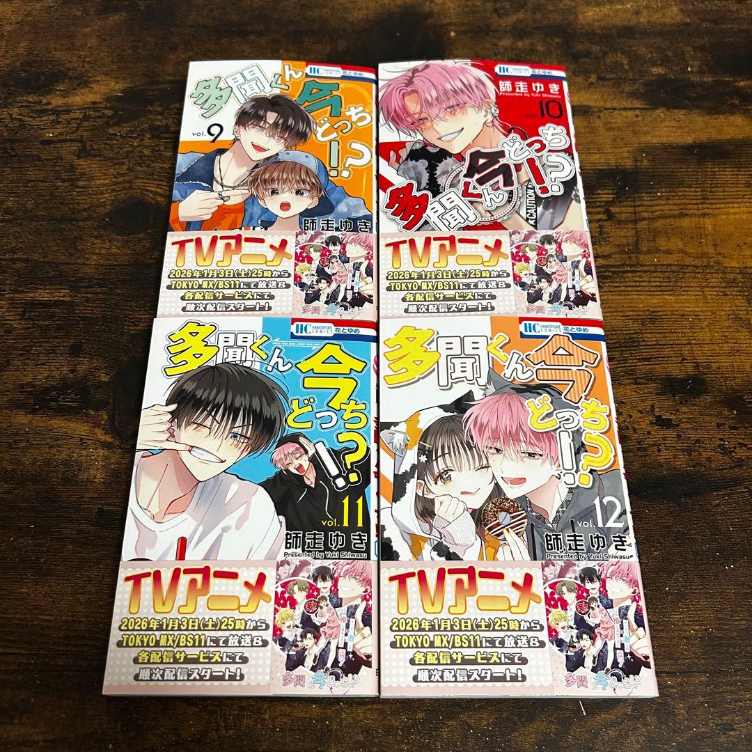 【新品・未読】多聞くん今どっち！？ 全巻セット　花とゆめ　白泉社　④