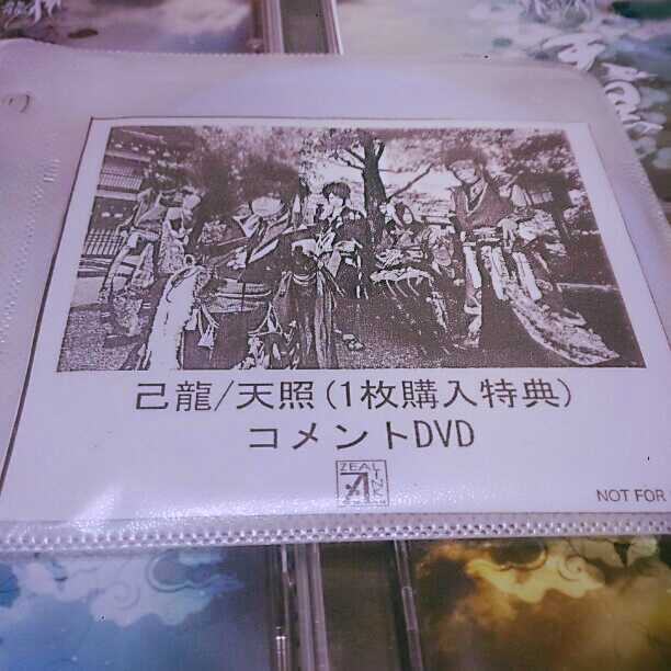 己龍 天照