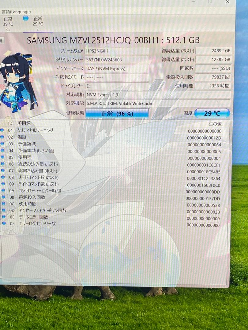 内蔵型SSD Samsung MZVL2512HCJQ-00BH1 512.1GB SSD