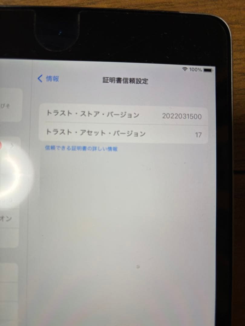 iPad mini 4 Wi-Fi + Cellular 128 GB シルバー