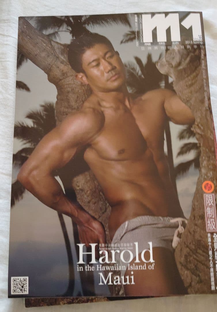 男性　台湾　写真集