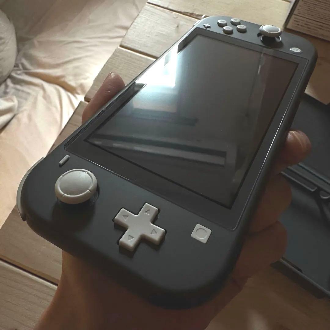 Nintendo Switch Lite グレー本体、アダプタ、ハードケース付き
