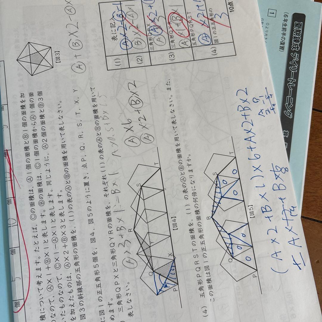 SAPIX 小6 夏期集中志望校錬成特訓 中学受験 開成 聖光 最新 2026年