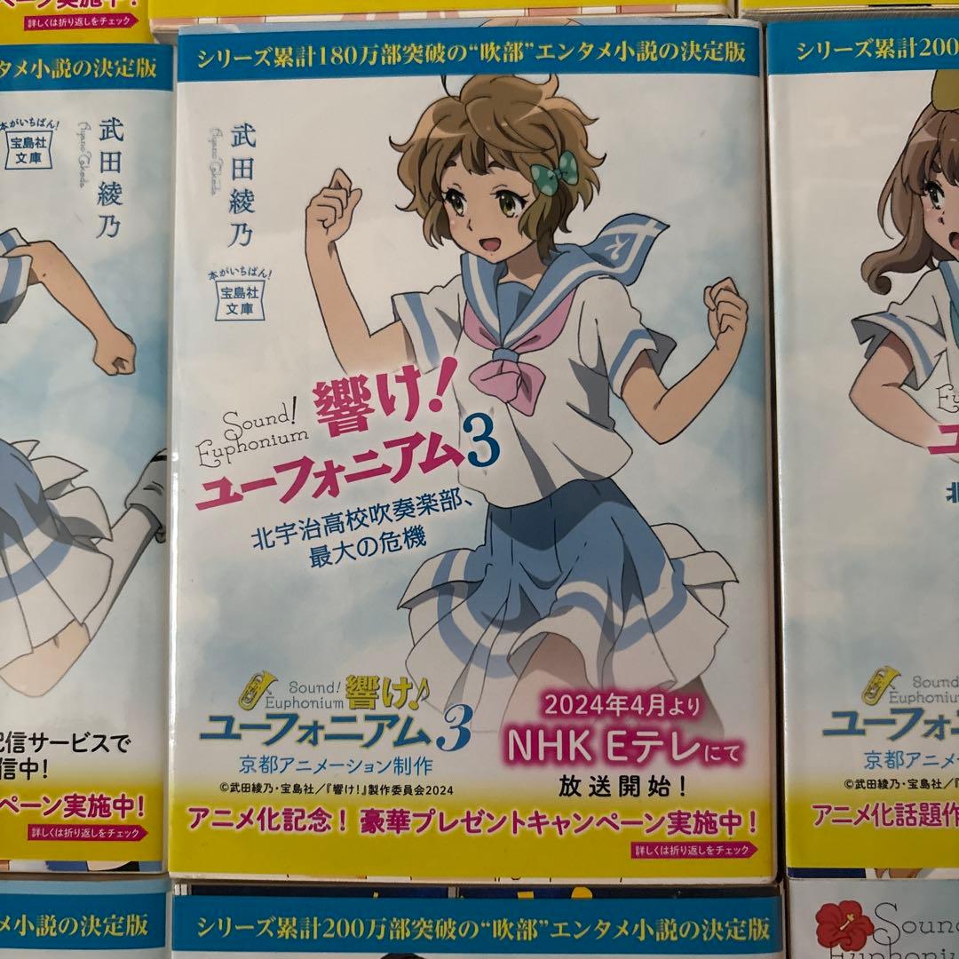 【必見】響け！ユーフォニアム 小説12巻セット（ダブルカバー全11種付き）